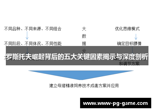 罗斯托夫崛起背后的五大关键因素揭示与深度剖析