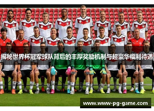 揭秘世界杯冠军球队背后的丰厚奖励机制与超豪华福利待遇