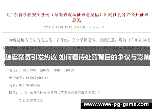 魏震禁赛引发热议 如何看待处罚背后的争议与影响