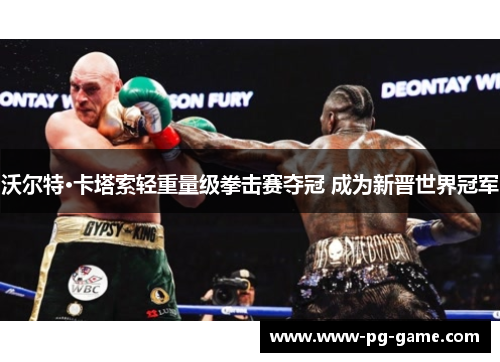 沃尔特·卡塔索轻重量级拳击赛夺冠 成为新晋世界冠军